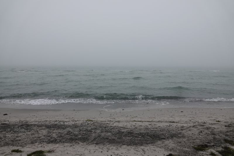 Viewing photos→2022→2022-01-02→01