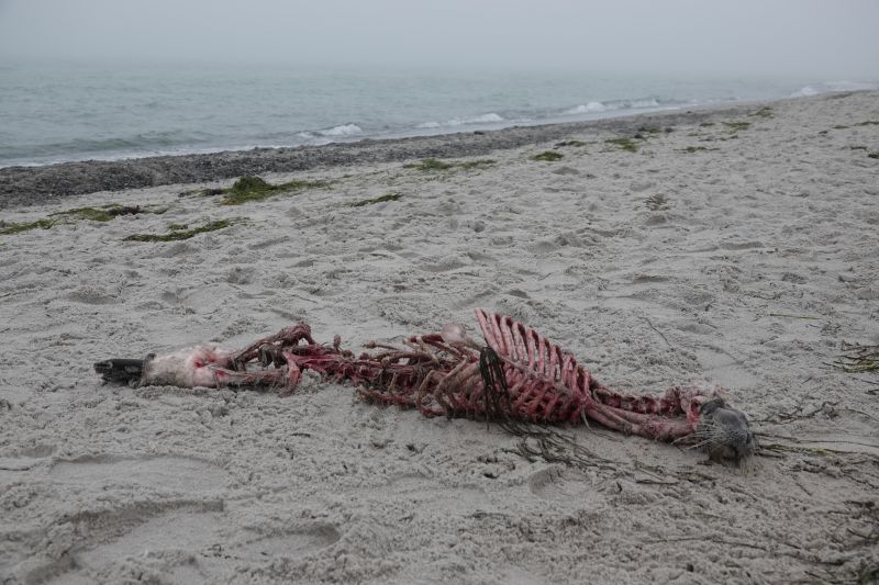 Viewing photos→2022→2022-01-02→03