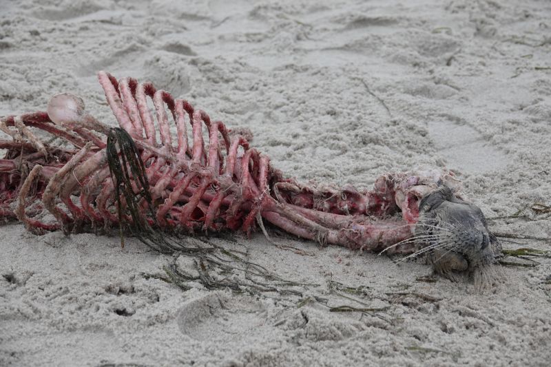 Viewing photos→2022→2022-01-02→04