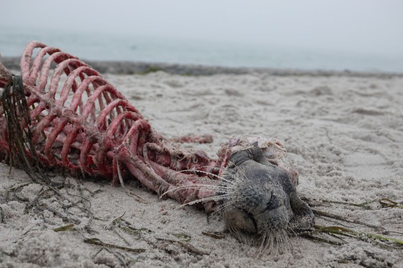 Viewing photos→2022→2022-01-02→05