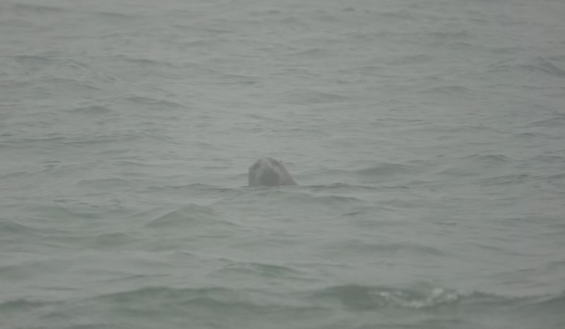 Viewing photos→2022→2022-01-02→08