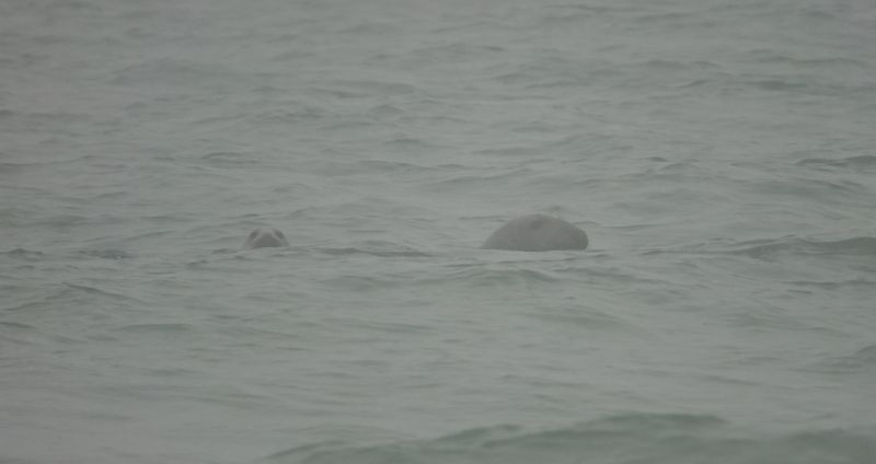 Viewing photos→2022→2022-01-02→09