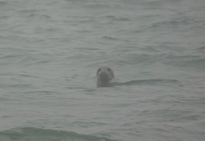 Viewing photos→2022→2022-01-02→11