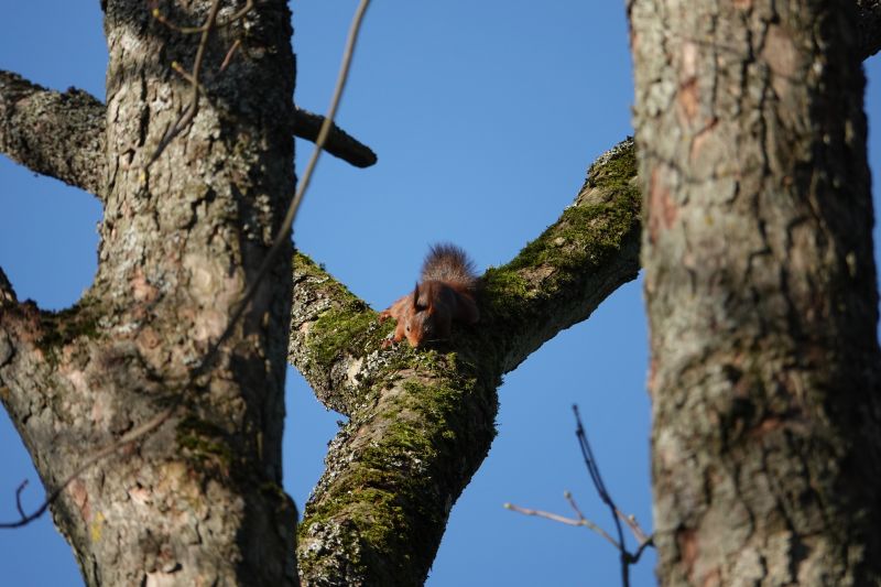 Viewing photos→2022→2022-01-30→08