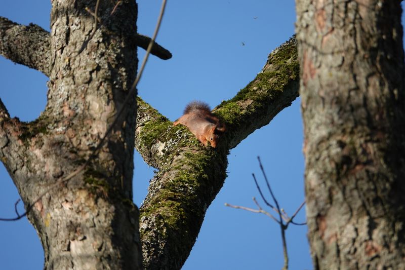 Viewing photos→2022→2022-01-30→09