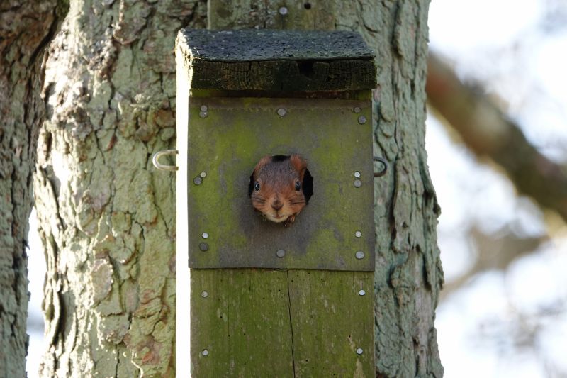 Viewing photos→2022→2022-01-30→10