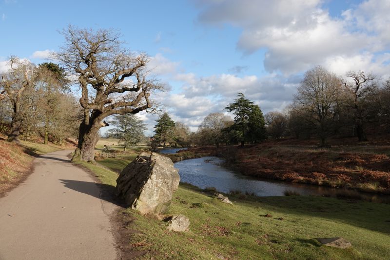 Viewing photos→2022→2022-02-04→03