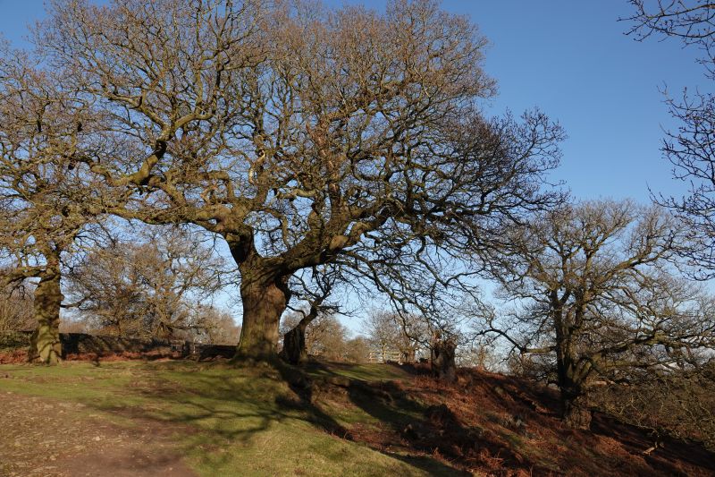 Viewing photos→2022→2022-02-04→31