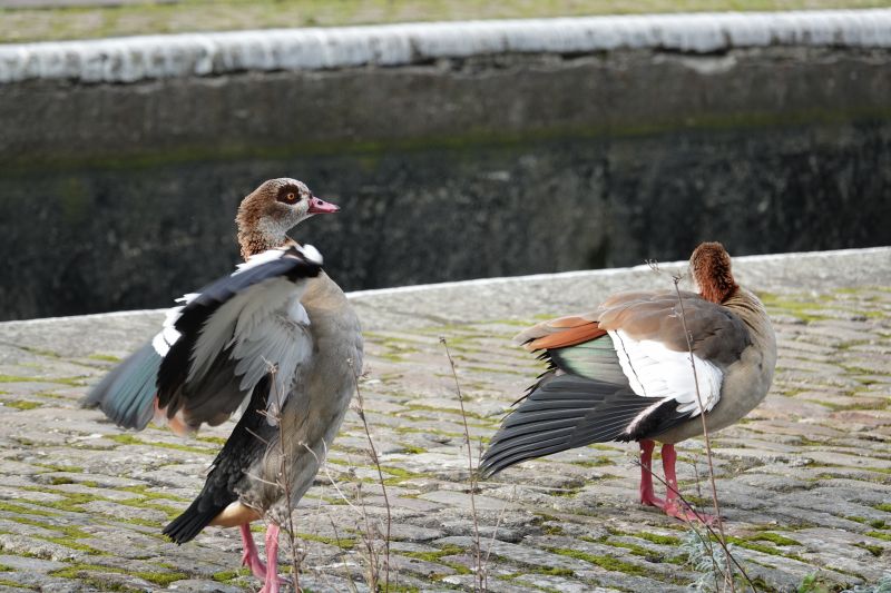 Viewing photos→2022→2022-02-09→04