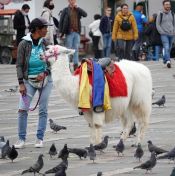 30.jpeg - 2022:07:18 16:24:26