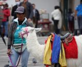 31.jpeg - 2022:07:18 16:25:00