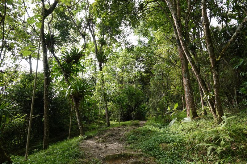 Viewing photos→2022→2022-07-20→61