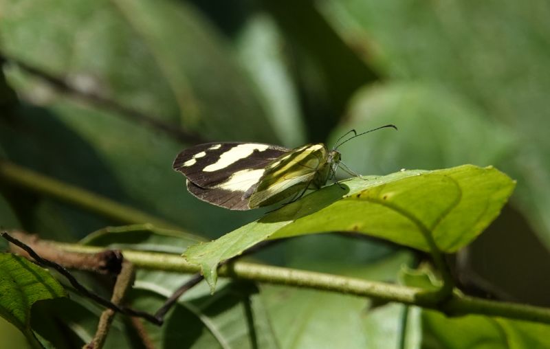 Viewing photos→2022→2022-07-20→64