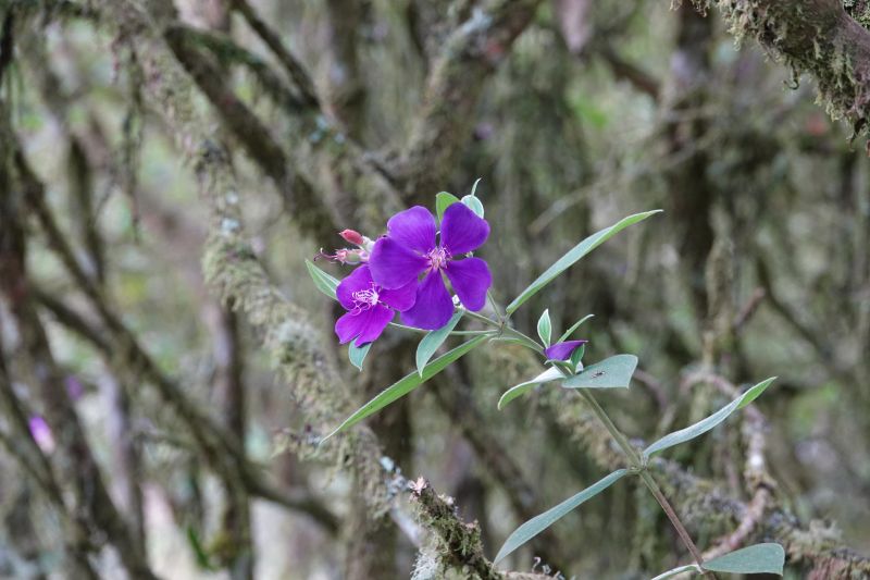 Viewing photos→2022→2022-07-20→67