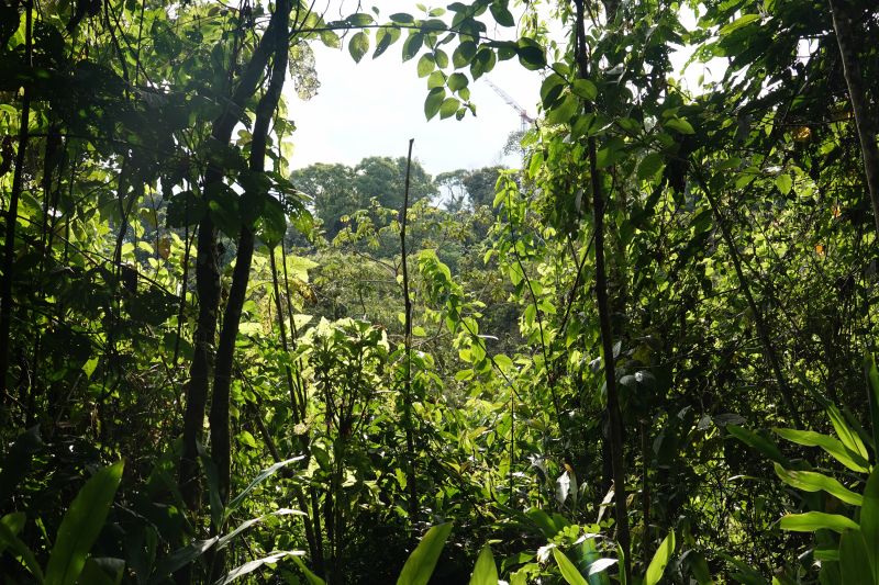 Viewing photos→2022→2022-07-20→70