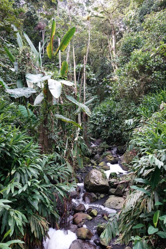 Viewing photos→2022→2022-07-20→73