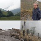 2022-07-22<br/>
<b>Parque de Los Nevados, Colombia</b>
