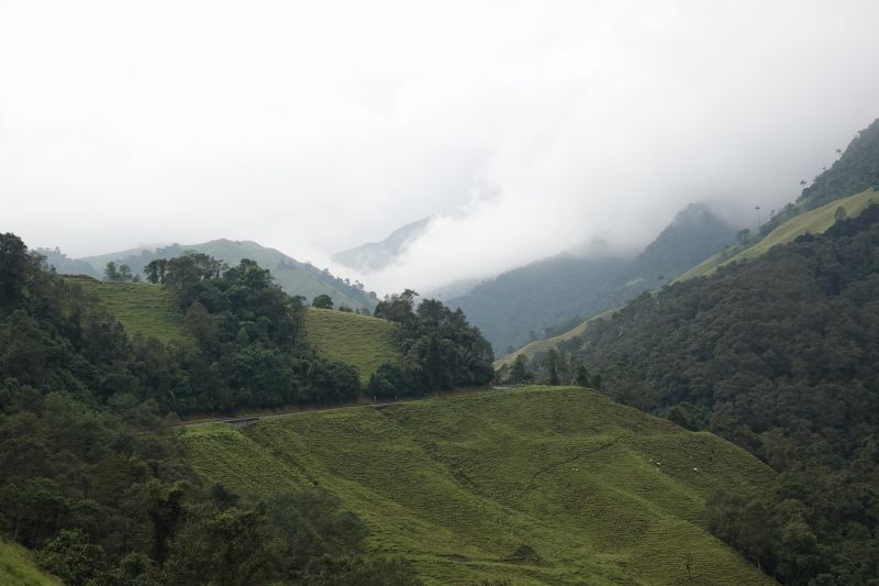 Viewing photos→2022→2022-07-22→01