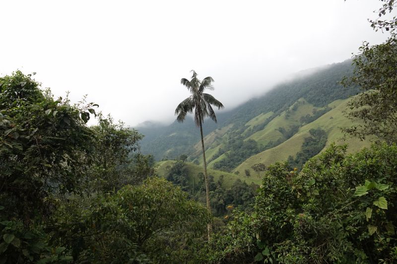 Viewing photos→2022→2022-07-22→02