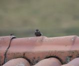 07.jpeg - 2022:07:22 15:11:09