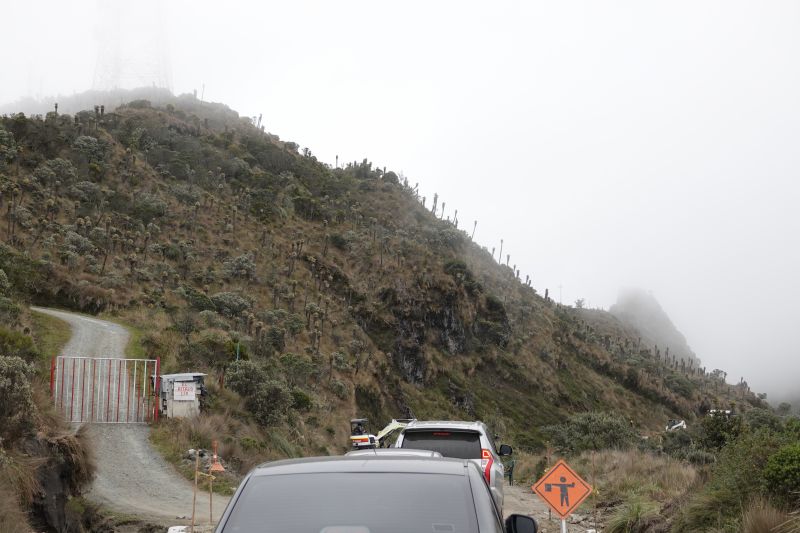 Viewing photos→2022→2022-07-22→09