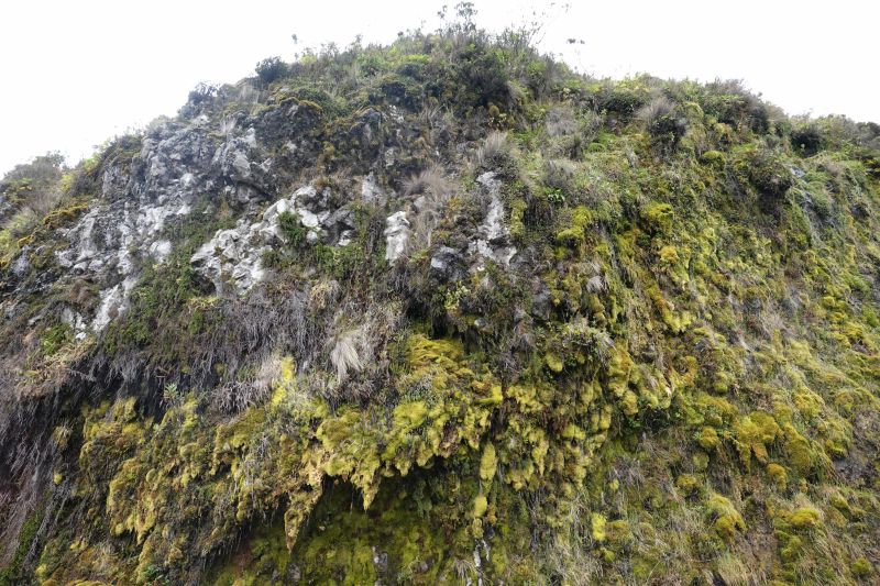 Viewing photos→2022→2022-07-22→23