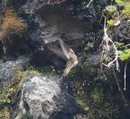 25.jpeg - 2022:07:22 16:49:45