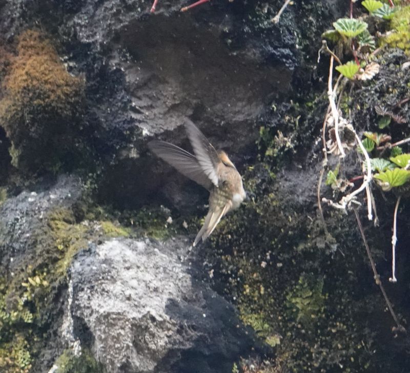 Viewing photos→2022→2022-07-22→25