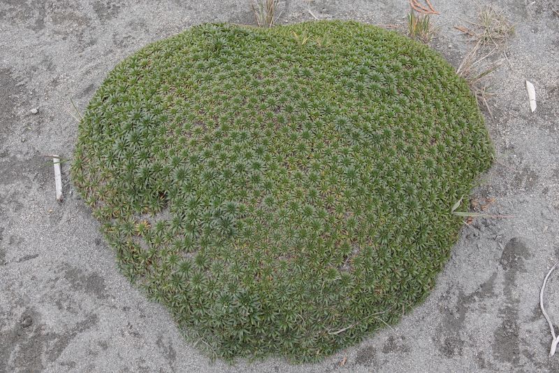 Viewing photos→2022→2022-07-22→30