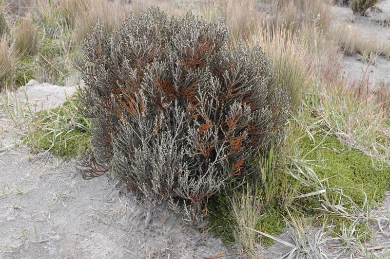 Viewing photos→2022→2022-07-22→31