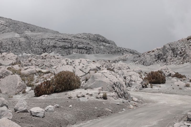 Viewing photos→2022→2022-07-22→42