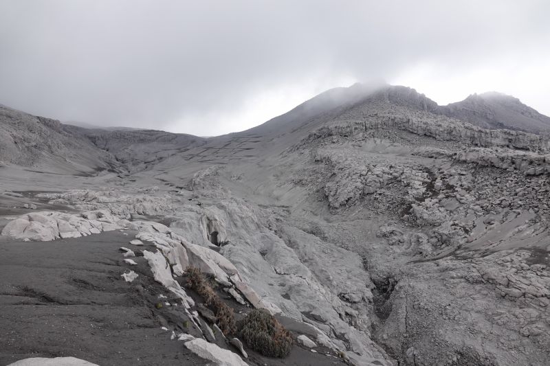 Viewing photos→2022→2022-07-22→46