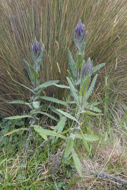 Viewing photos→2022→2022-07-22→51