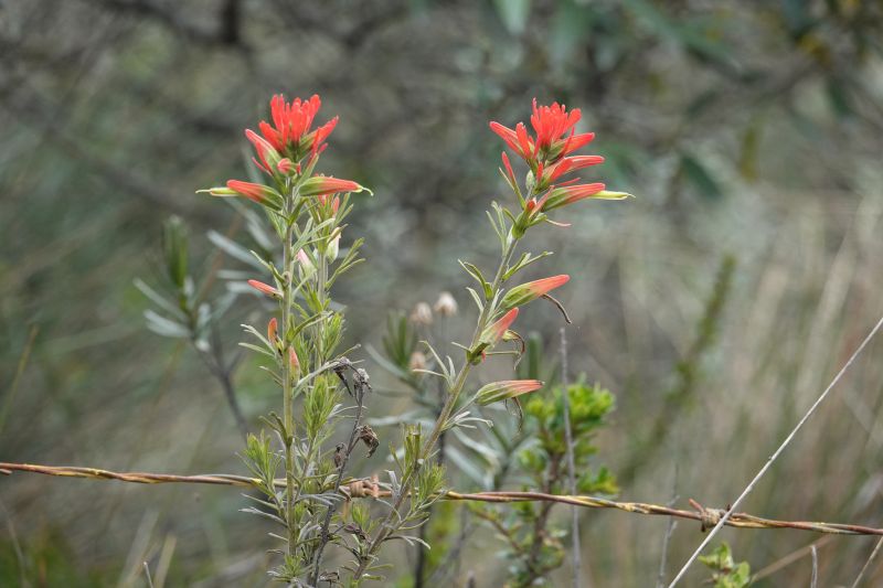 Viewing photos→2022→2022-07-22→54