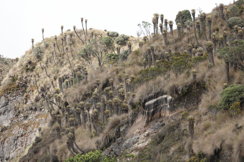 Viewing photos→2022→2022-07-22→56