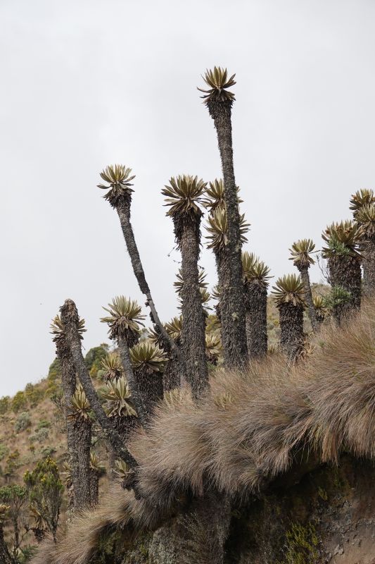 Viewing photos→2022→2022-07-22→57