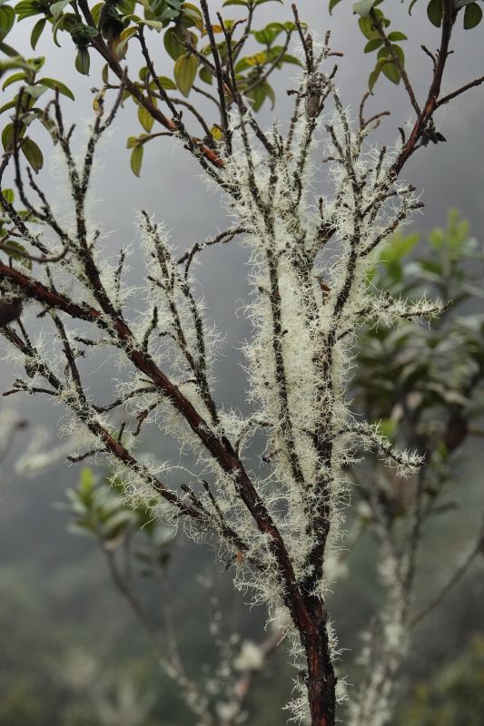 Viewing photos→2022→2022-07-22→60