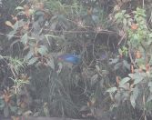 64.jpeg - 2022:07:22 21:57:28