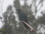 65.jpeg - 2022:07:22 21:57:49