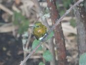 66.jpeg - 2022:07:22 22:00:58