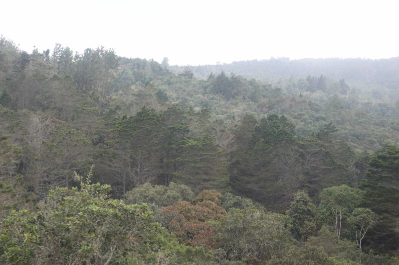 Viewing photos→2022→2022-07-24→05