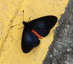 06.jpeg - 2022:07:24 18:51:00