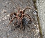 07.jpeg - 2022:07:24 18:56:20