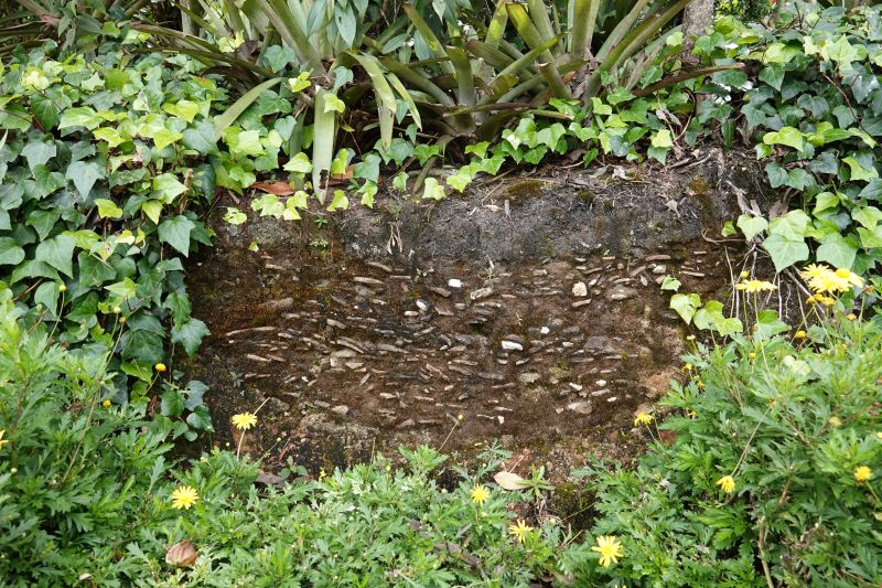 Viewing photos→2022→2022-07-24→08