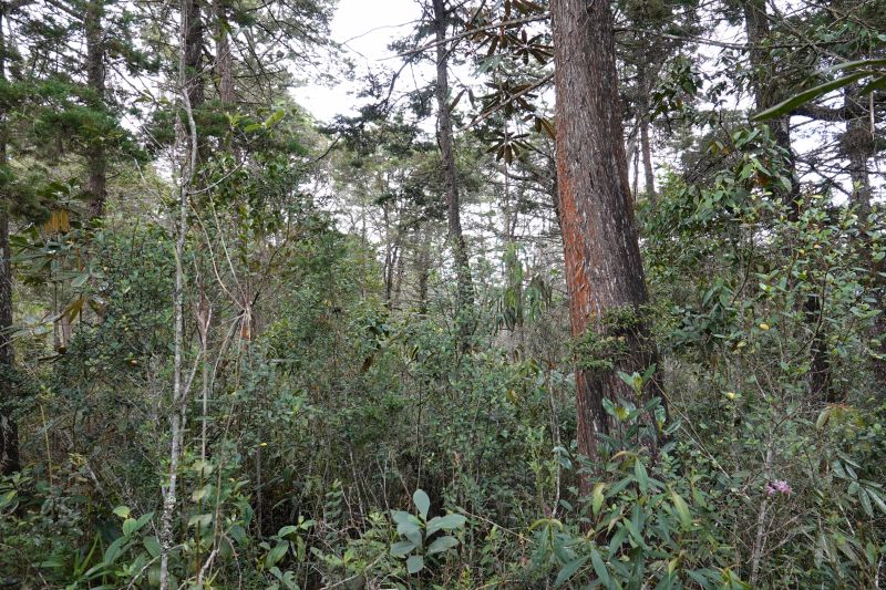 Viewing photos→2022→2022-07-24→10