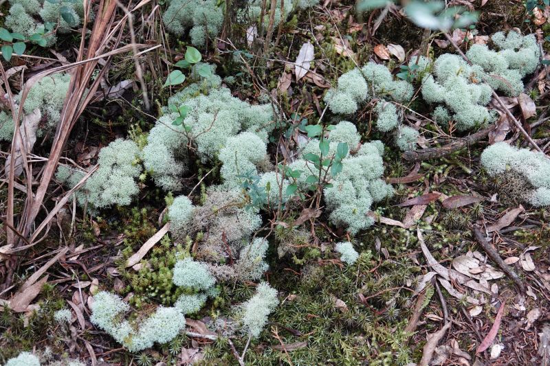 Viewing photos→2022→2022-07-24→11