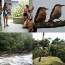 2022-07-26 - 2022-07-29<br/>
<b>Ciudad Perdida, Colombia</b>
