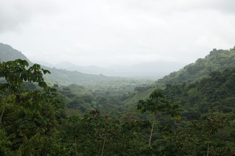 Viewing photos→2022→2022-07-26→002