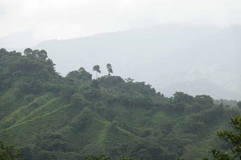 Viewing photos→2022→2022-07-26→003