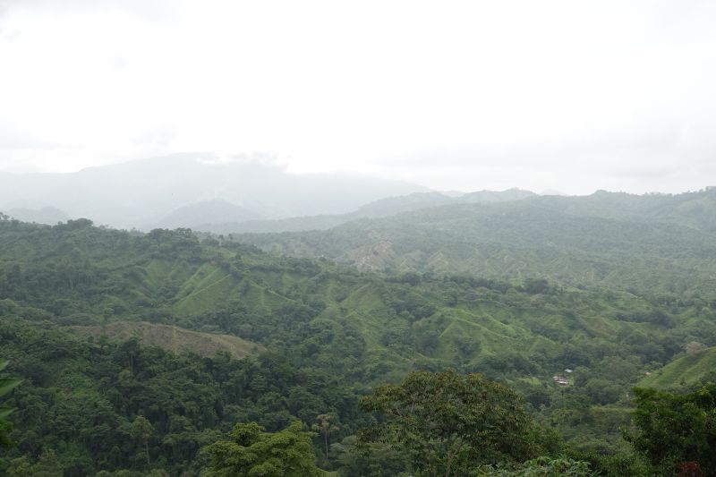 Viewing photos→2022→2022-07-26→005